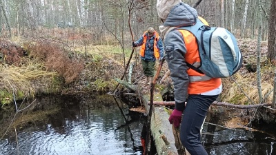 Стрелки жизни - 0.jpg